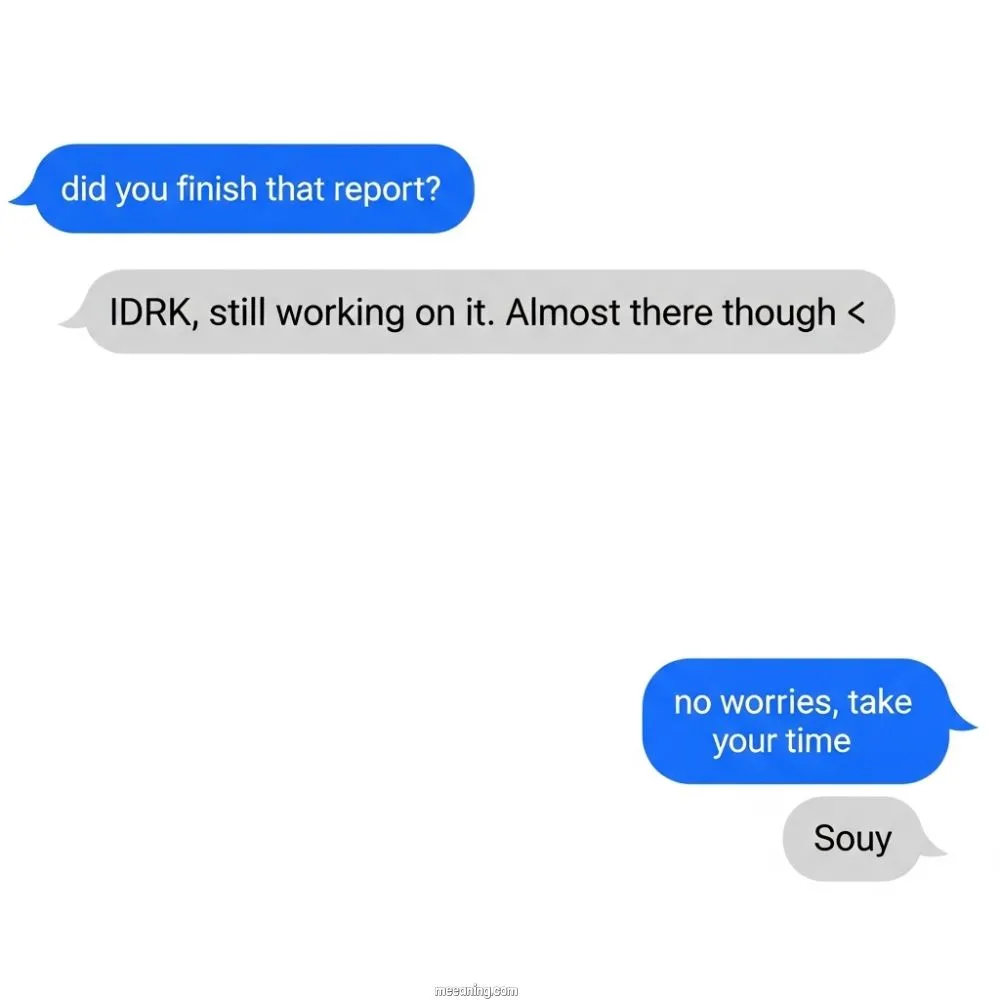 Examples of IDRK in Conversation