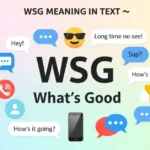 WSG Meaning in Text