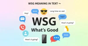 WSG Meaning in Text